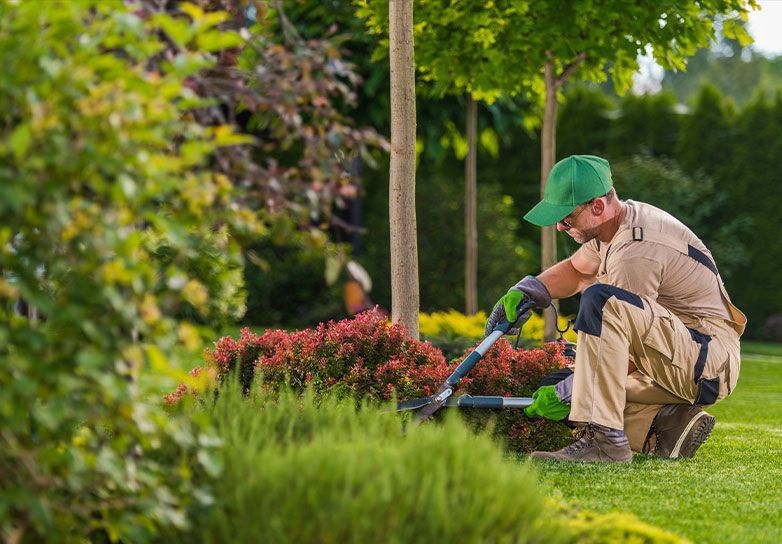 Entretien d’espaces verts dans la Meuse